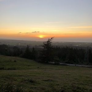 Meet your Posher, Ian